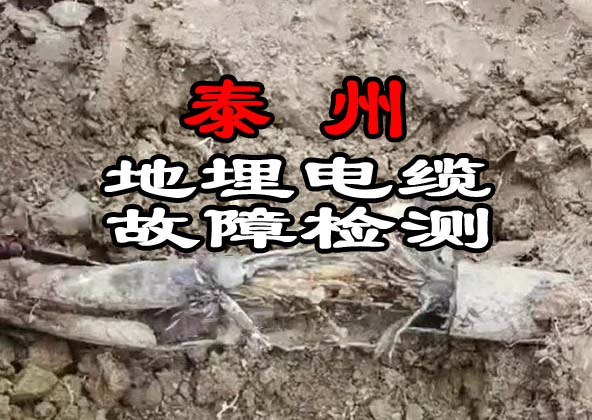 泰州地埋電纜故障檢測(cè)