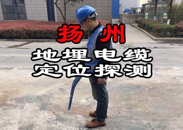 揚(yáng)州地埋電纜定位探測(cè)